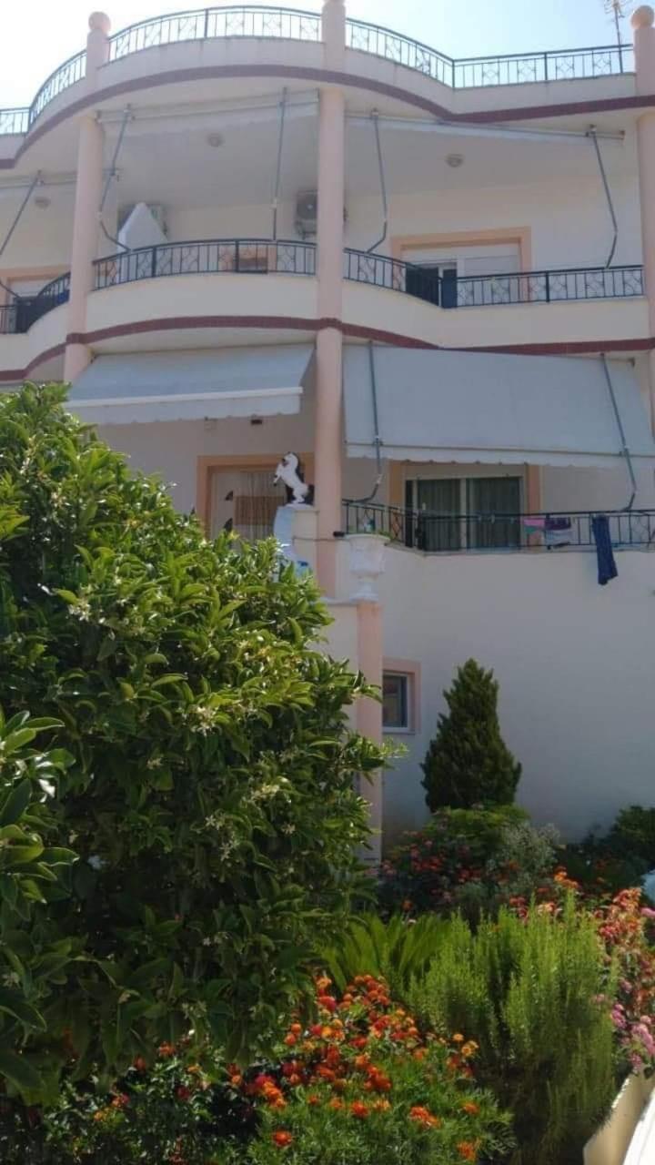 Apartments Rudi Orikum Ngoại thất bức ảnh